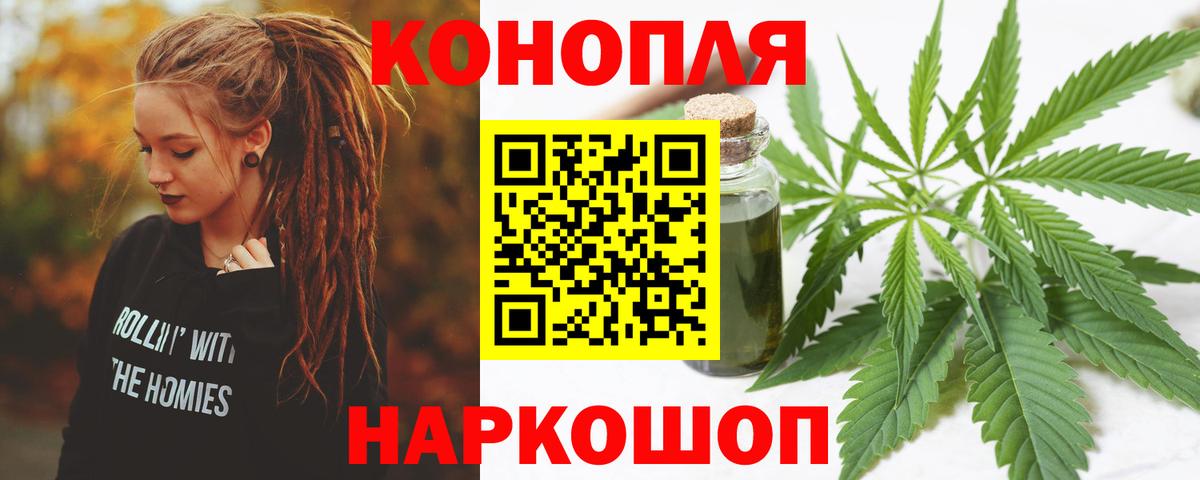 Конопля план Отрадный