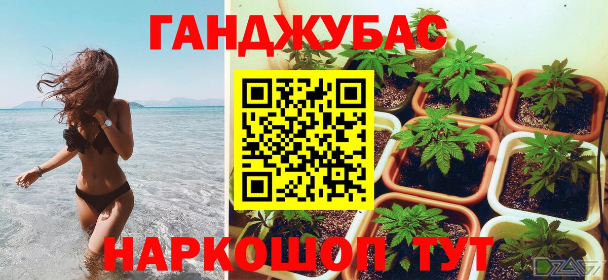 Бошки Шишки White Widow  Канабис SATIVA & INDICA  Вход с VPN  Отрадный 